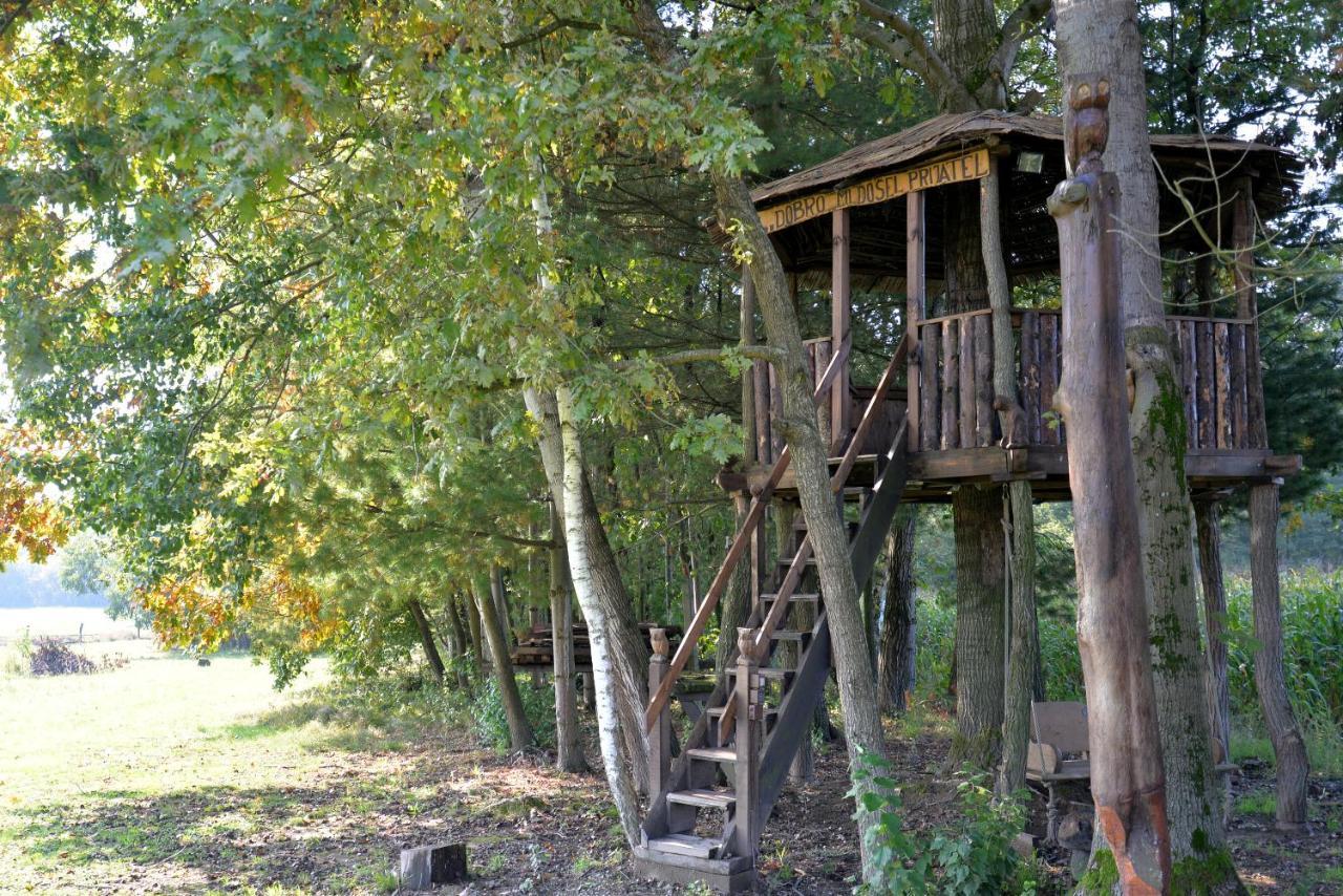 Old Oak House With Pool Villa Marusevec Exterior photo