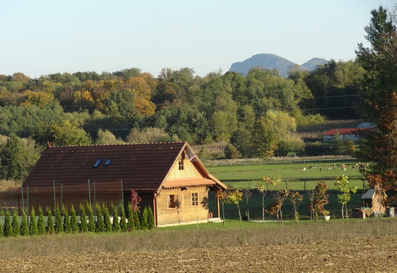 Old Oak House With Pool Villa Marusevec Exterior photo